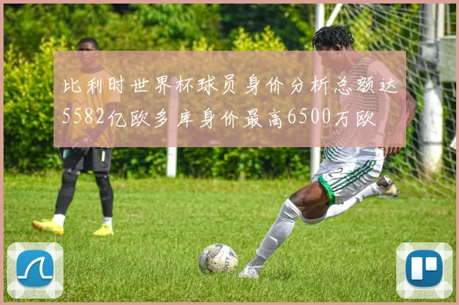 比利时世界杯球员身价分析总额达5582亿欧多库身价最高6500万欧
